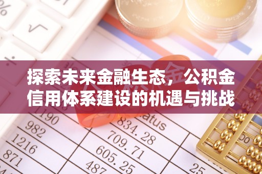 任城探索未来金融生态，公积金信用体系建设的机遇与挑战