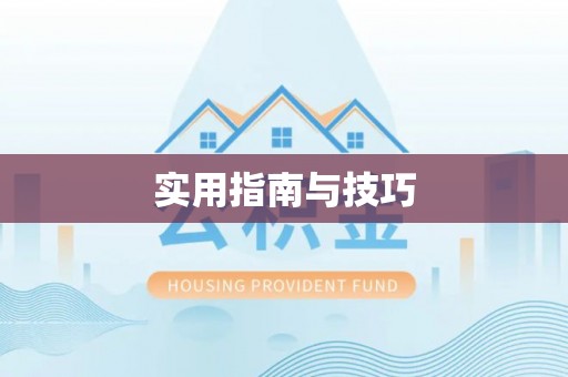 任城实用指南与技巧