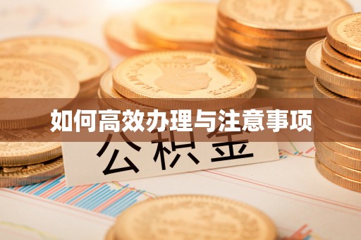 任城如何高效办理与注意事项