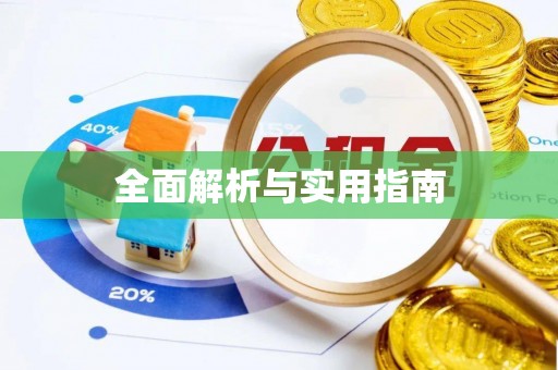 任城全面解析与实用指南