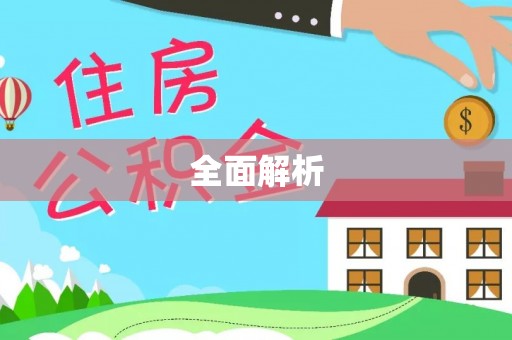任城全面解析