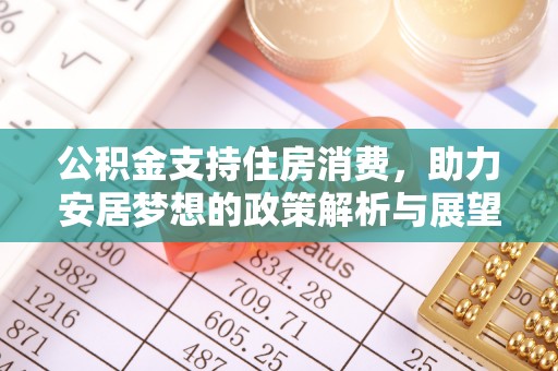 任城公积金支持住房消费，助力安居梦想的政策解析与展望