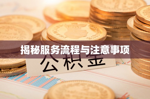 任城揭秘服务流程与注意事项