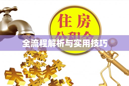 任城全流程解析与实用技巧