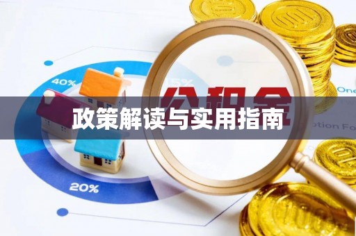 任城政策解读与实用指南