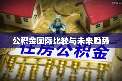 任城公积金国际比较与未来趋势