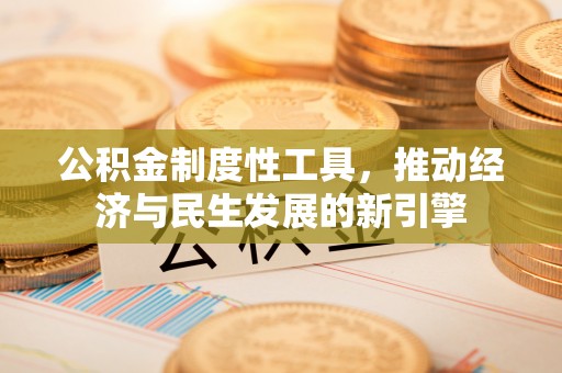 任城公积金制度性工具，推动经济与民生发展的新引擎
