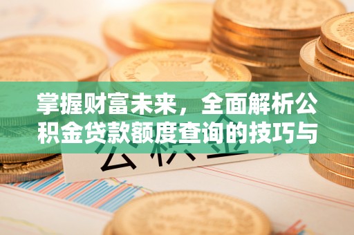 任城掌握财富未来，全面解析公积金贷款额度查询的技巧与策略