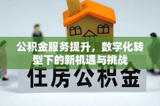 任城公积金服务提升，数字化转型下的新机遇与挑战
