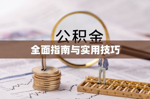 任城全面指南与实用技巧
