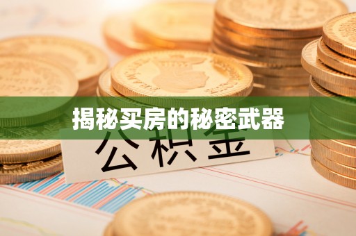 任城揭秘买房的秘密武器
