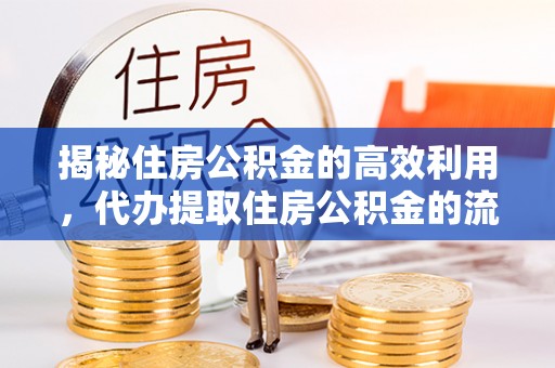 任城揭秘住房公积金的高效利用，代办提取住房公积金的流程与技巧