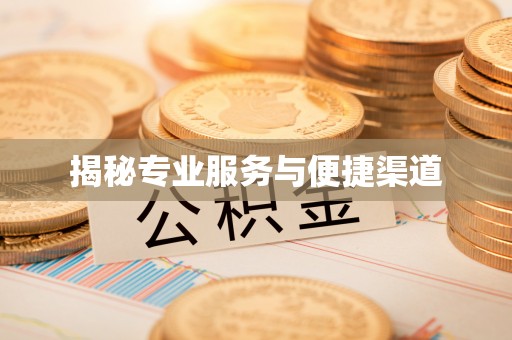 任城揭秘专业服务与便捷渠道