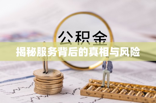 任城揭秘服务背后的真相与风险