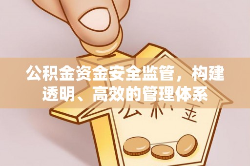 任城公积金资金安全监管，构建透明、高效的管理体系