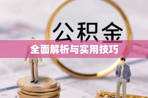 任城全面解析与实用技巧