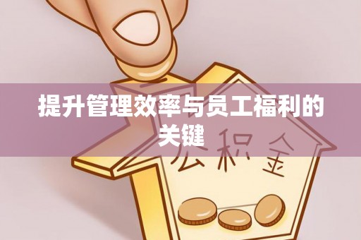 任城提升管理效率与员工福利的关键