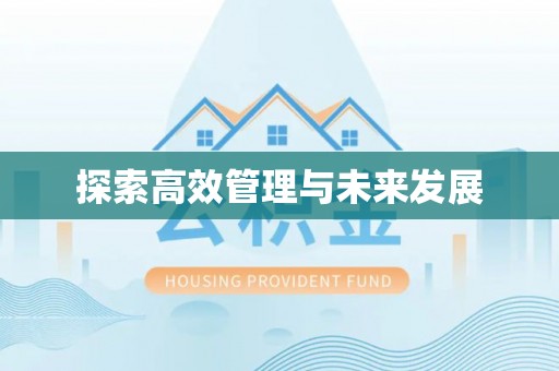 任城探索高效管理与未来发展