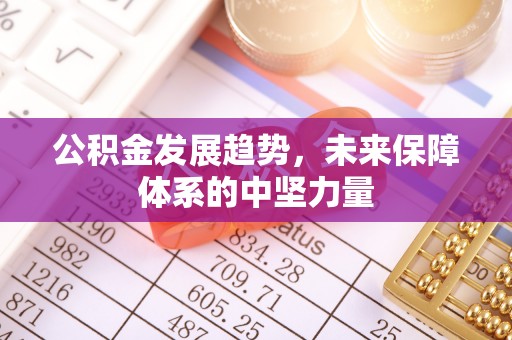 任城公积金发展趋势，未来保障体系的中坚力量