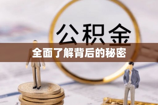 任城全面了解背后的秘密