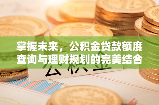 任城掌握未来，公积金贷款额度查询与理财规划的完美结合