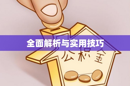 任城全面解析与实用技巧