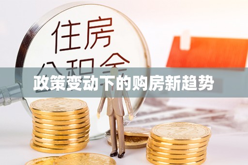 任城政策变动下的购房新趋势
