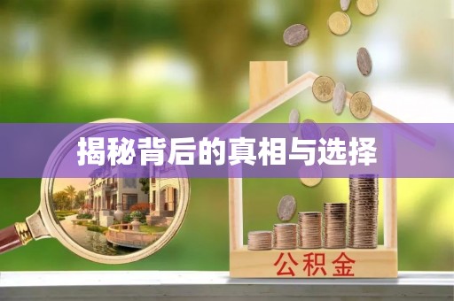 任城揭秘背后的真相与选择