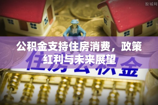 任城公积金支持住房消费，政策红利与未来展望