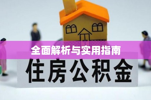 任城全面解析与实用指南