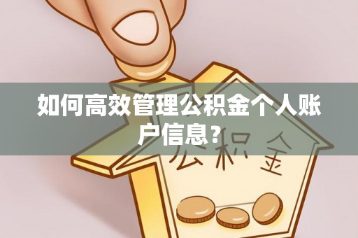 任城如何高效管理公积金个人账户信息？