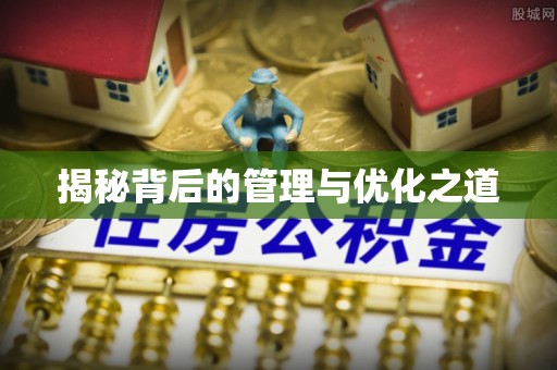 任城揭秘背后的管理与优化之道
