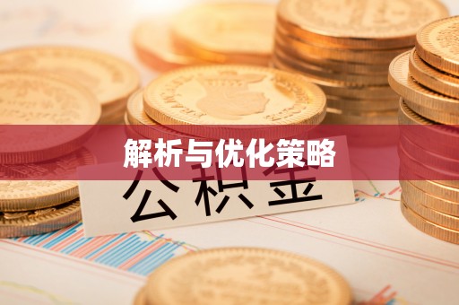 任城解析与优化策略