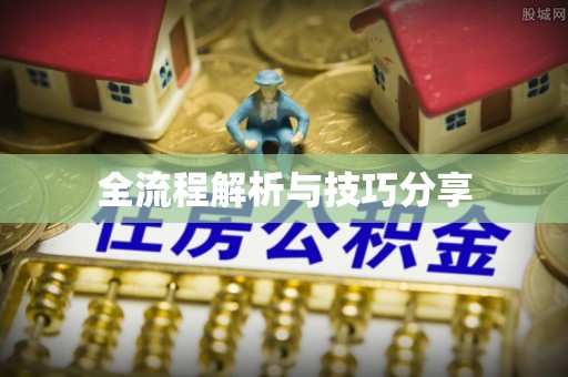 任城全流程解析与技巧分享