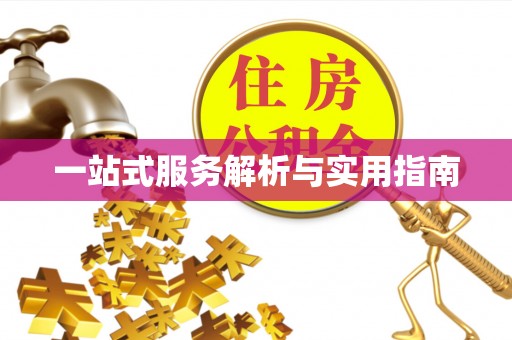 任城一站式服务解析与实用指南