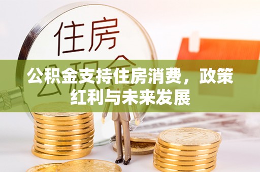 任城公积金支持住房消费，政策红利与未来发展