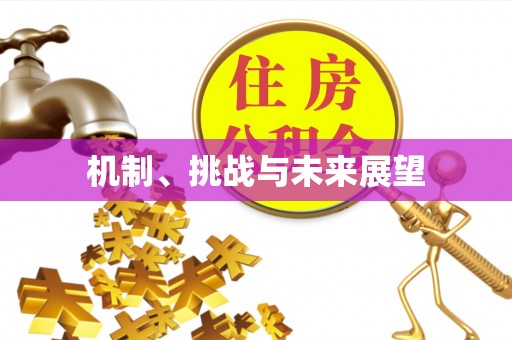 任城机制、挑战与未来展望