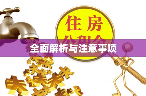 任城全面解析与注意事项