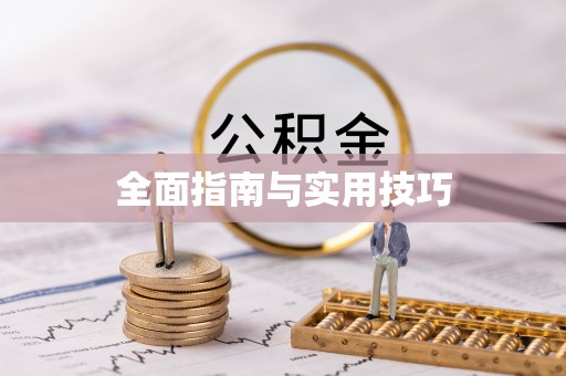 任城全面指南与实用技巧
