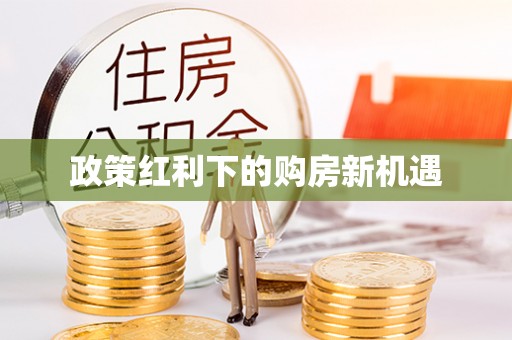 任城政策红利下的购房新机遇