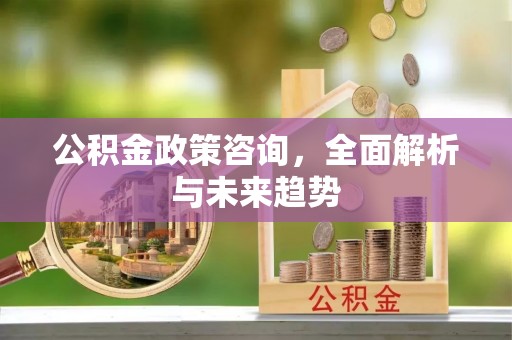 任城公积金政策咨询，全面解析与未来趋势